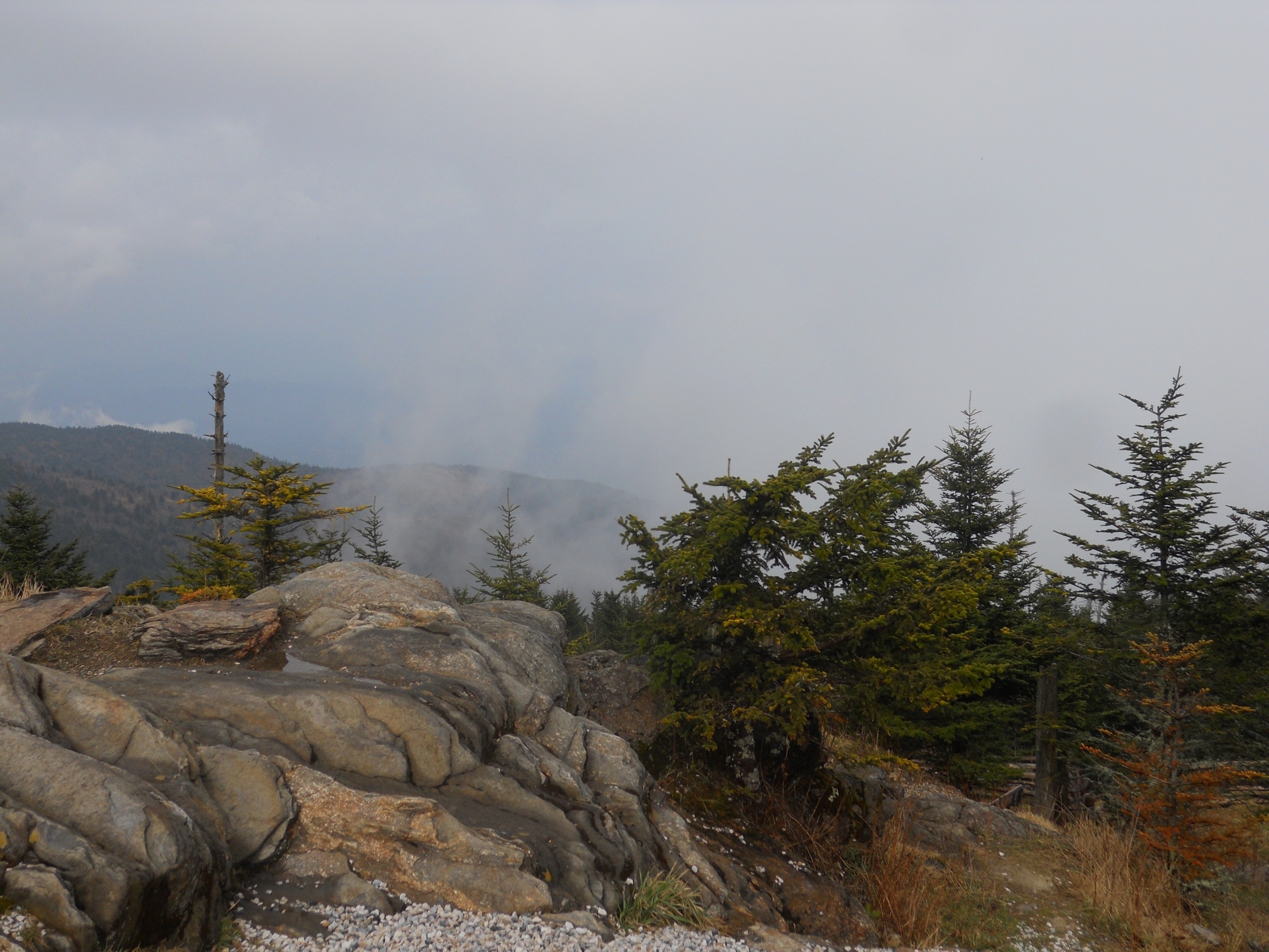 Photo by Russell Hewatt