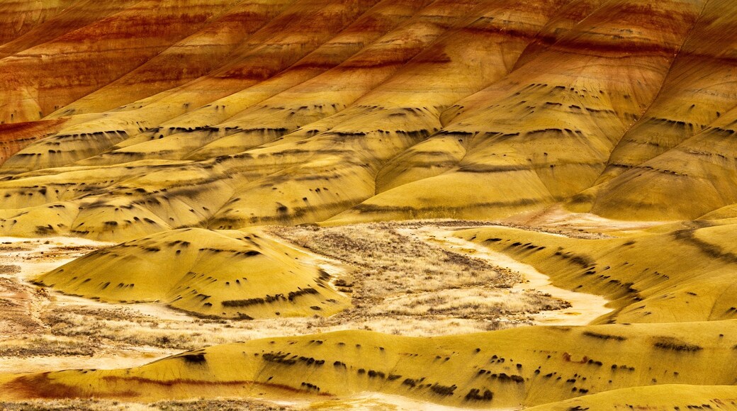 Foto por Mark Fritsch