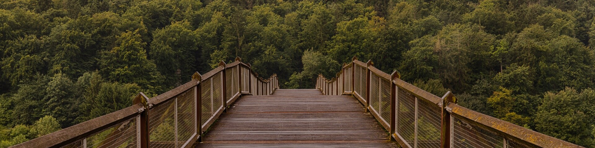 埃辛, 巴伐利亞, 德國