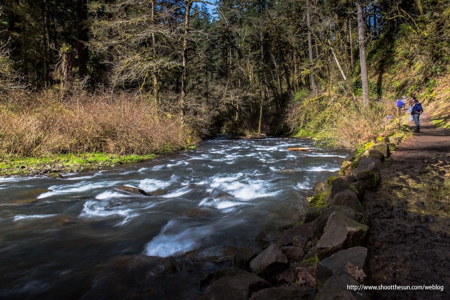 Silver Creek is the fuel, motor and the engine for all the waterfalls in the park. There are very few spots where the water lies still. The rest of the time you'll see it churning as it prepares to barrel over a waterfall or makes its way away from one waterfall and onto the next.