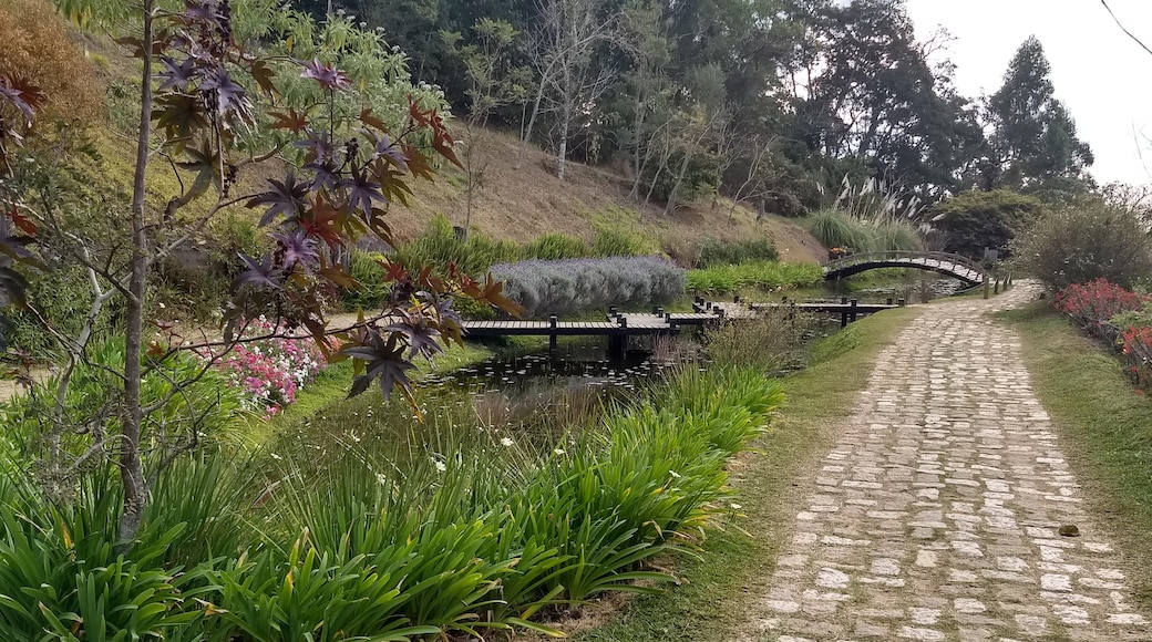 สวน Amantikir, Campos do Jordao, เซาเปาโล (รัฐ), บราซิล