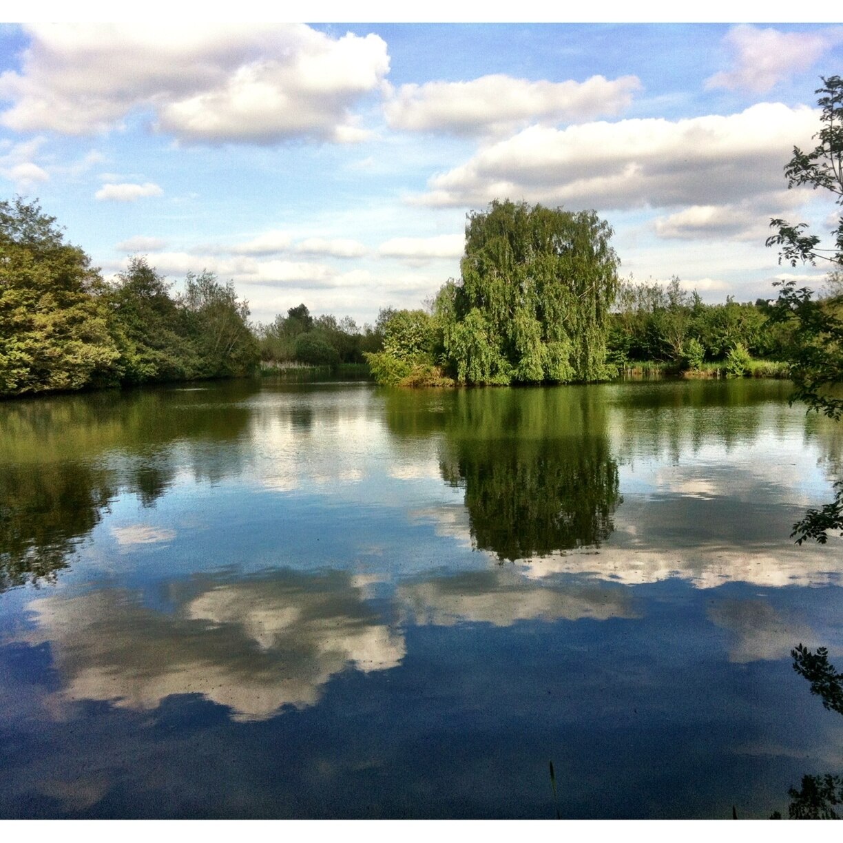 Foto tomada por Andy Mumford