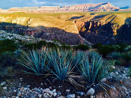 value: "La Verkin Overlook just outside of Zion National Park"
