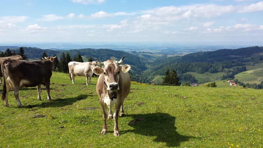 NO EDITING: view from beside the restaurant on the Sitz. An amazing hill with this beautiful view. Check out Switzerland