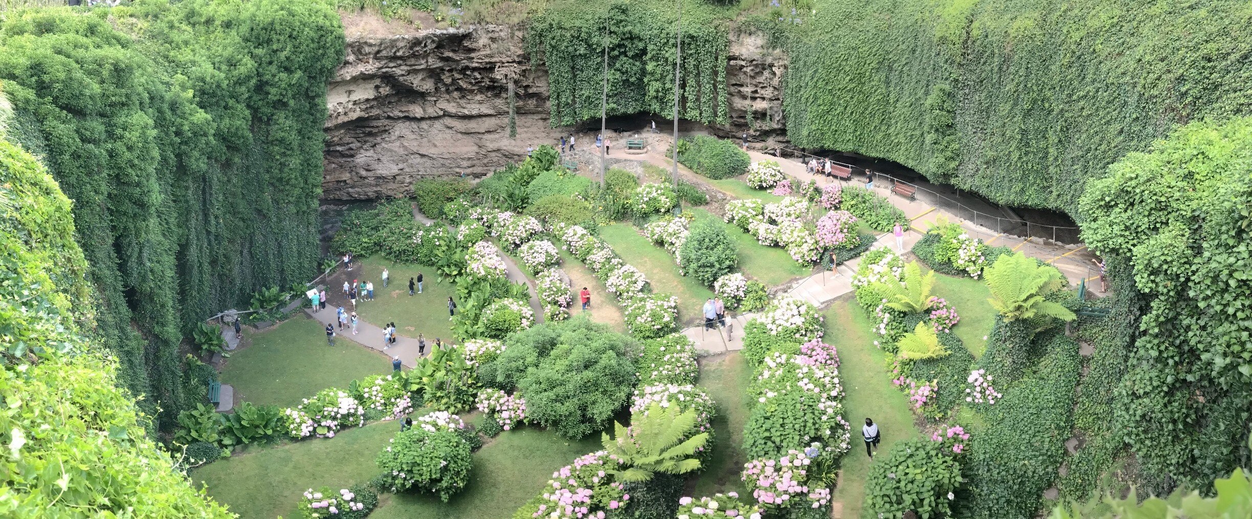 Mt Gambier Sinkhole Garden | Fasci Garden