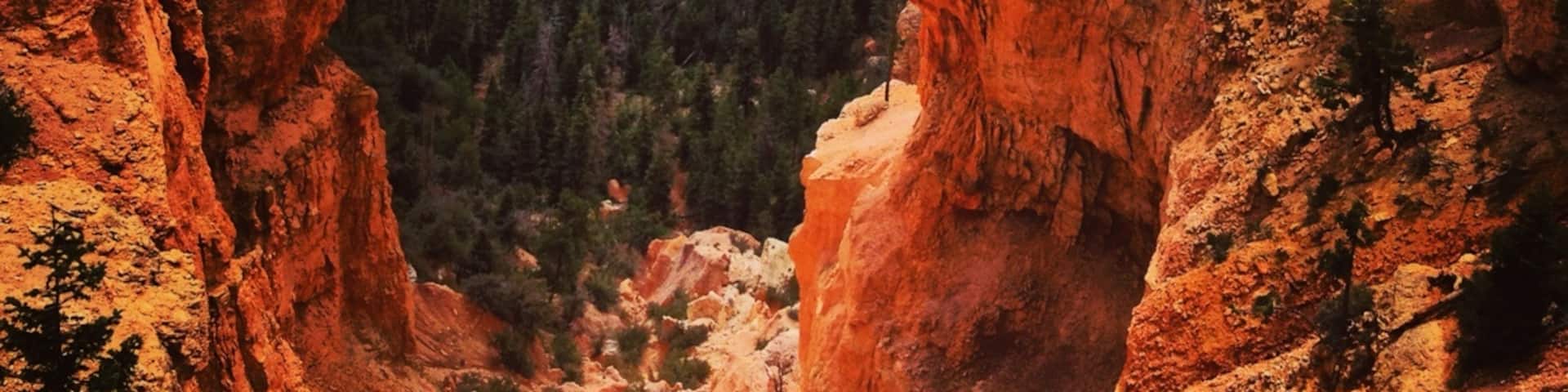 Tropic, Utah, United States of America
