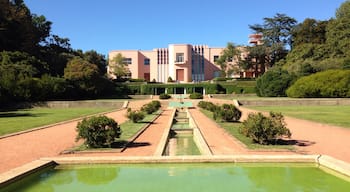 House of Serralves, you can take a look inside. 