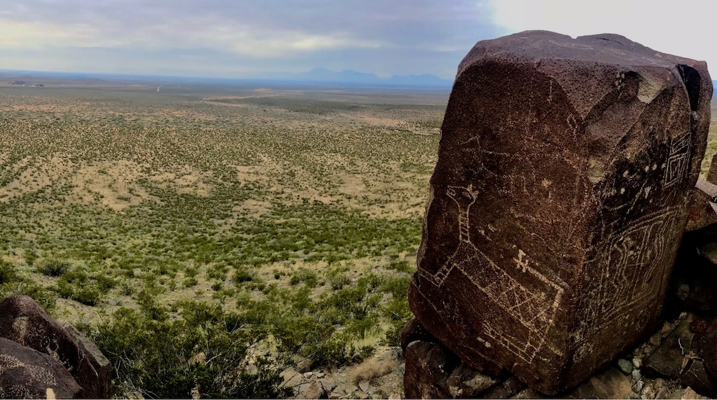 Three Rivers Petroglyph Site, Tularosa, New Mexico, United States of America