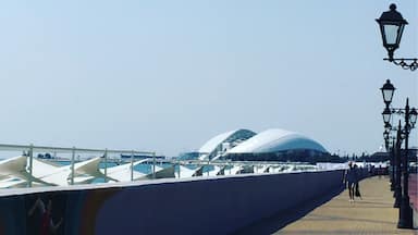Набережная Адлера с видом на стадион Фишт