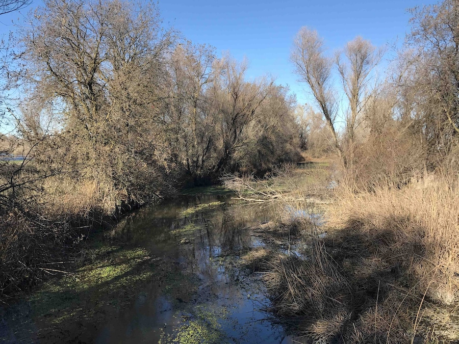 One of the best places for birdwatching during late fall to winter months.