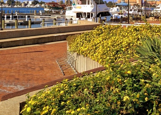 Norfolk, Virginia, Yhdysvallat
