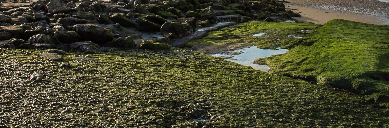 Wallasey, United Kingdom