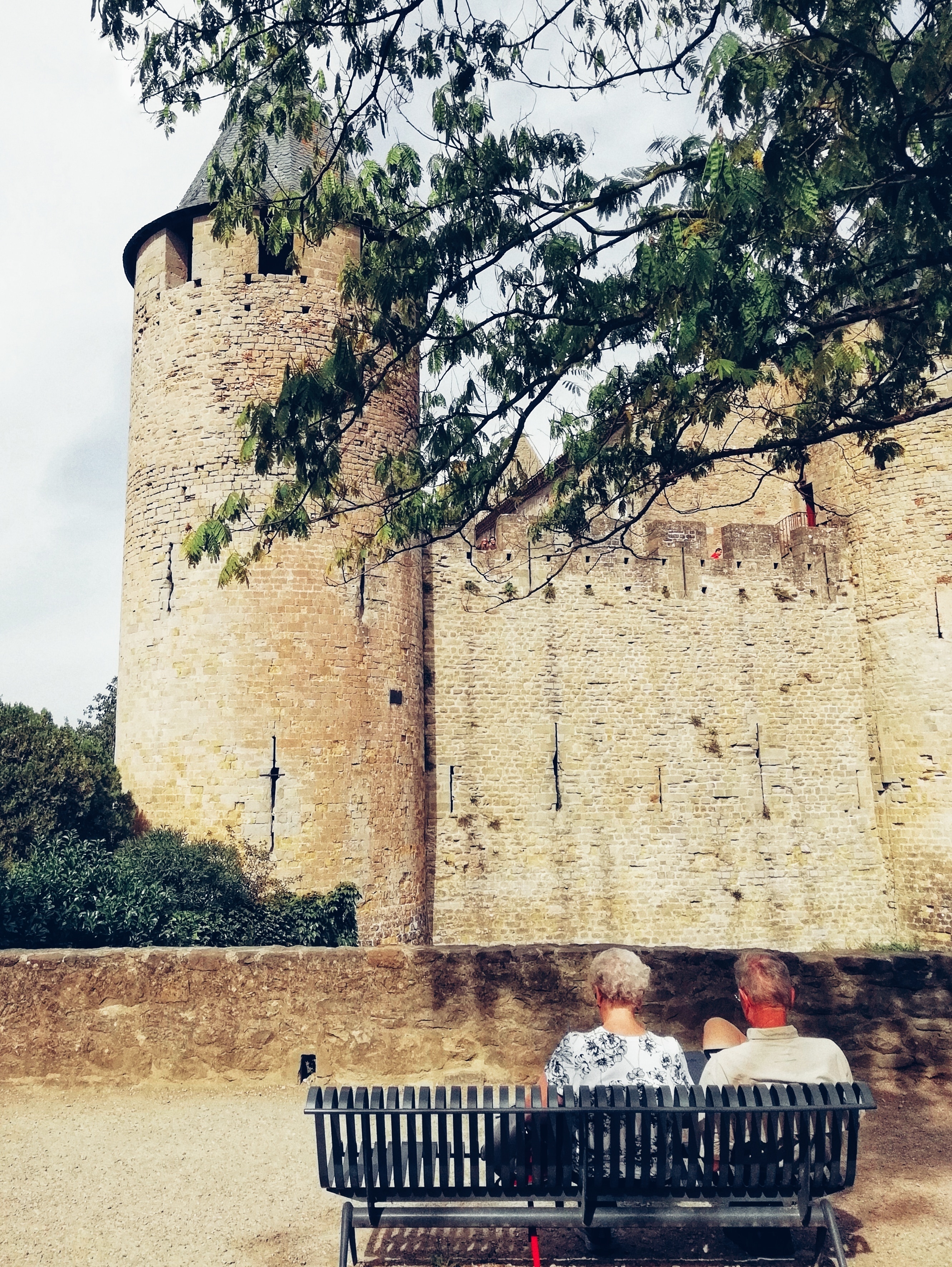 View Of Park Outside The Fortress Town Of Carcassonne In Southern