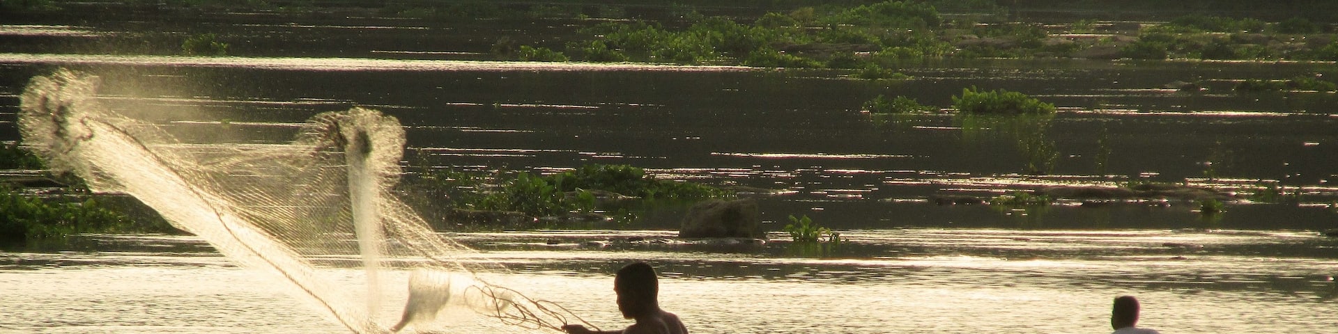 Fisherman looking for his first catch of the day.  Mun River, Phibun Mangsahan, Ubon Ratchathani, Thailand.
#thailand #landofsmiles #thisisisan