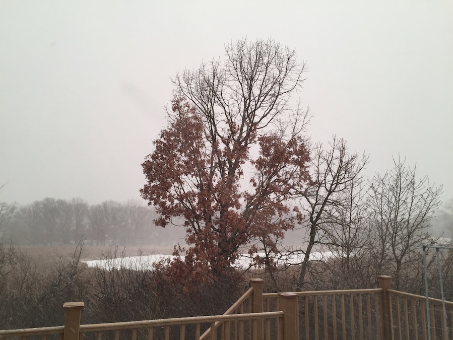 A view that is relaxing and beautiful.