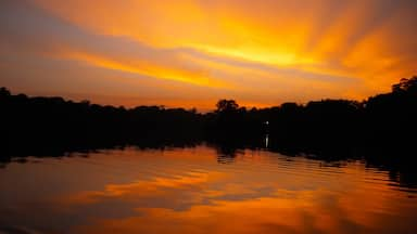 La Selva Jungle Lodge.  One of the most intense sunsets I have ever seen in person.  It was so quiet.  All you could hear were the natural sounds of the rainforest.  