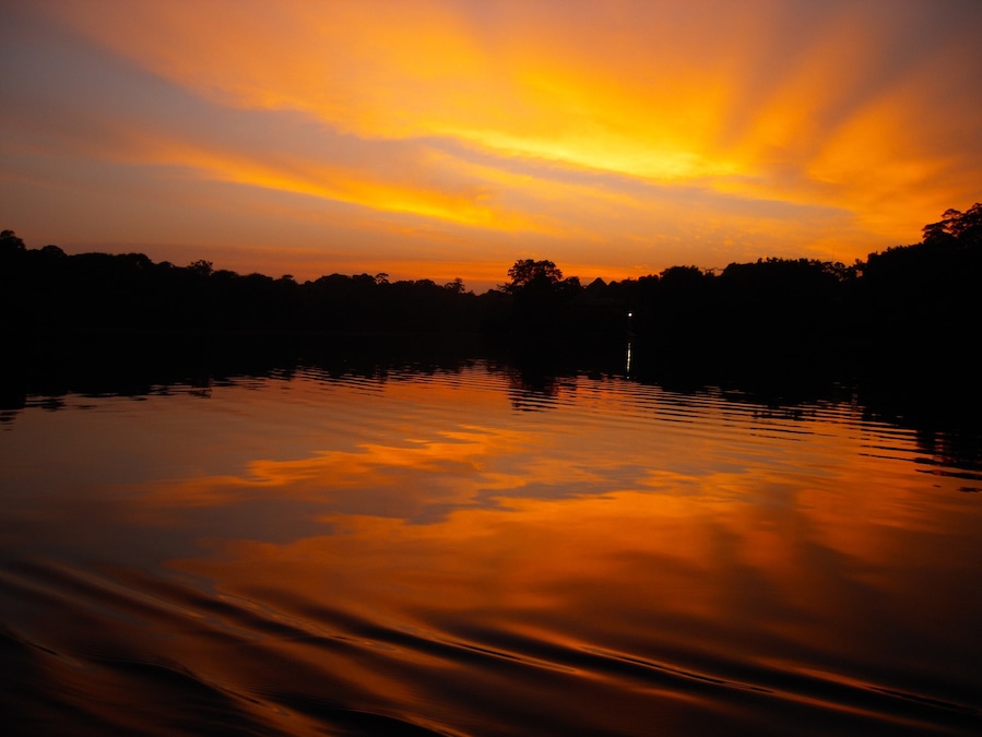 La Selva Jungle Lodge. One of the most intense sunsets I have ever seen in person. It was so quiet. All you could hear were the natural sounds of the rainforest.