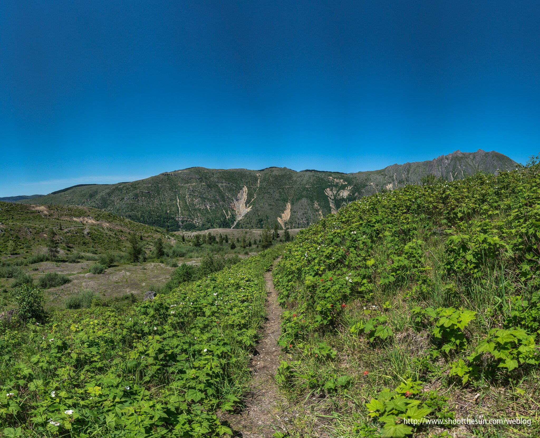 Toutle, WA Vacation Rentals house rentals & more Vrbo