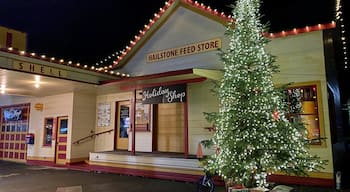 I love that this old fuel station is so many different things now. Earlier this evening it was a gift shop and the location of a mini Christmas music show. Last summer it was the place to get tasting tokens for the art & wine walk.