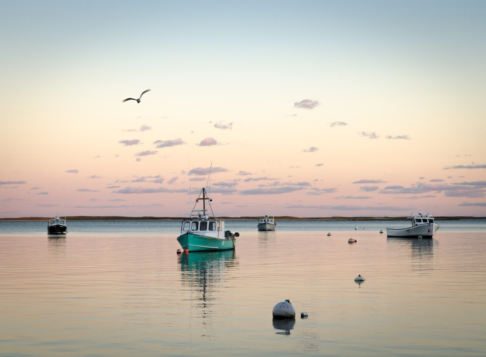 Enjoy the view, watch the fishing boats come in and unload their catch, and pick up fresh fish or seafood to take home for dinner at the market.