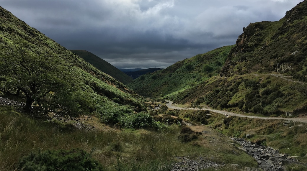 Carding Mill Valley and the Long Mynd, Church Stretton, England, United Kingdom