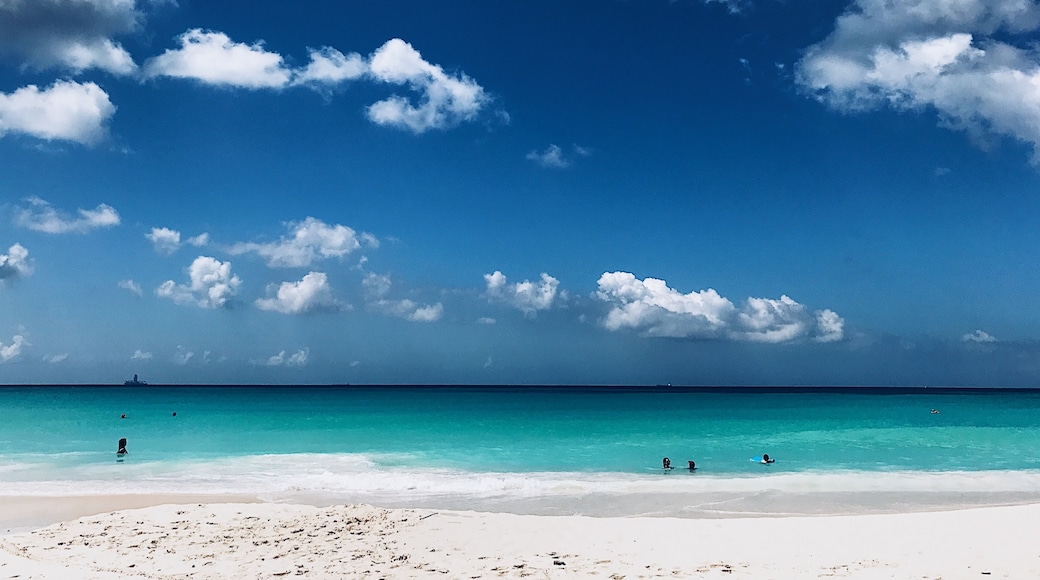 Pantai Druif, Oranjestad, Aruba