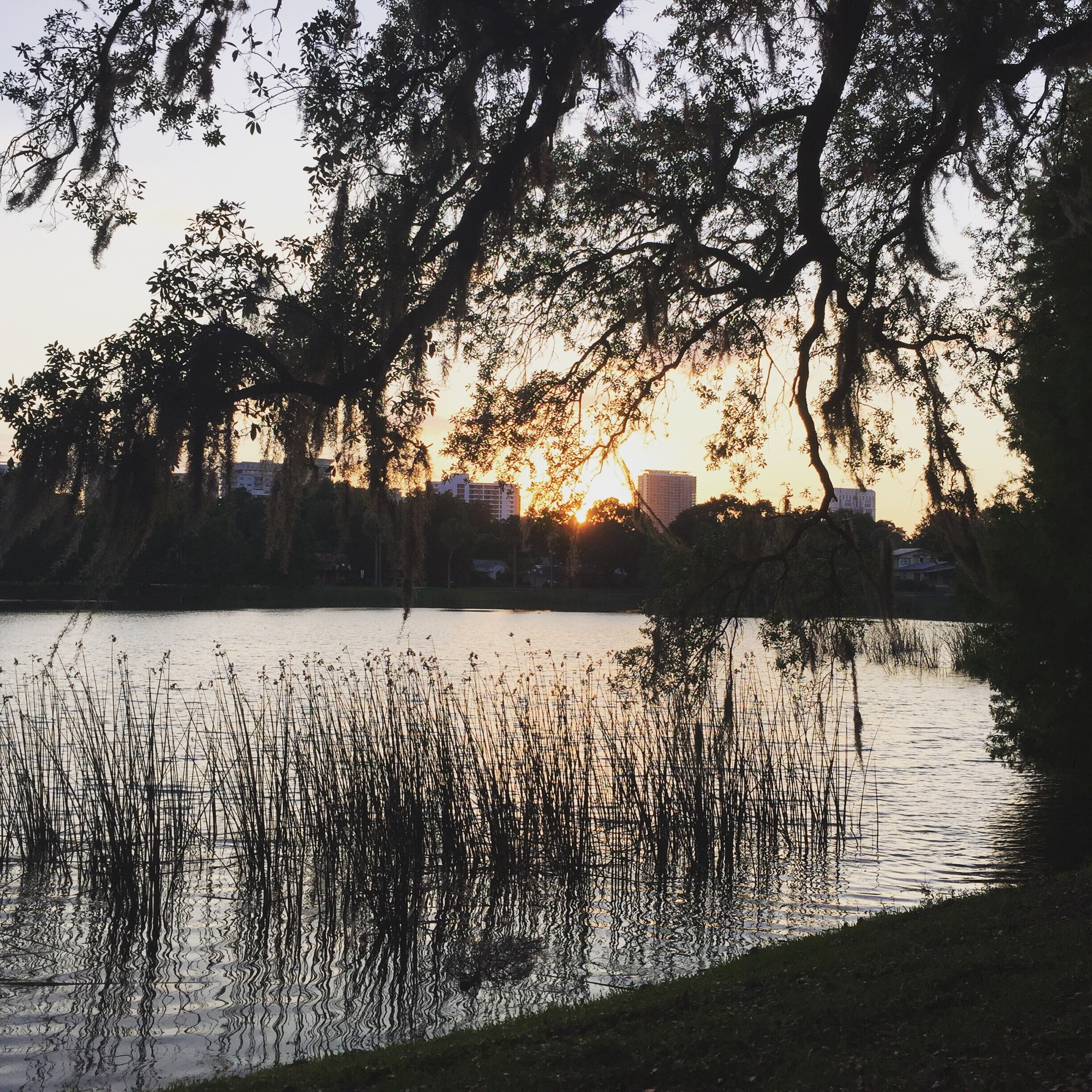 Lawsona - Fern Creek, Orlando, Florida, United States of America
