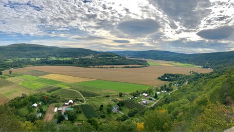 Middleburgh