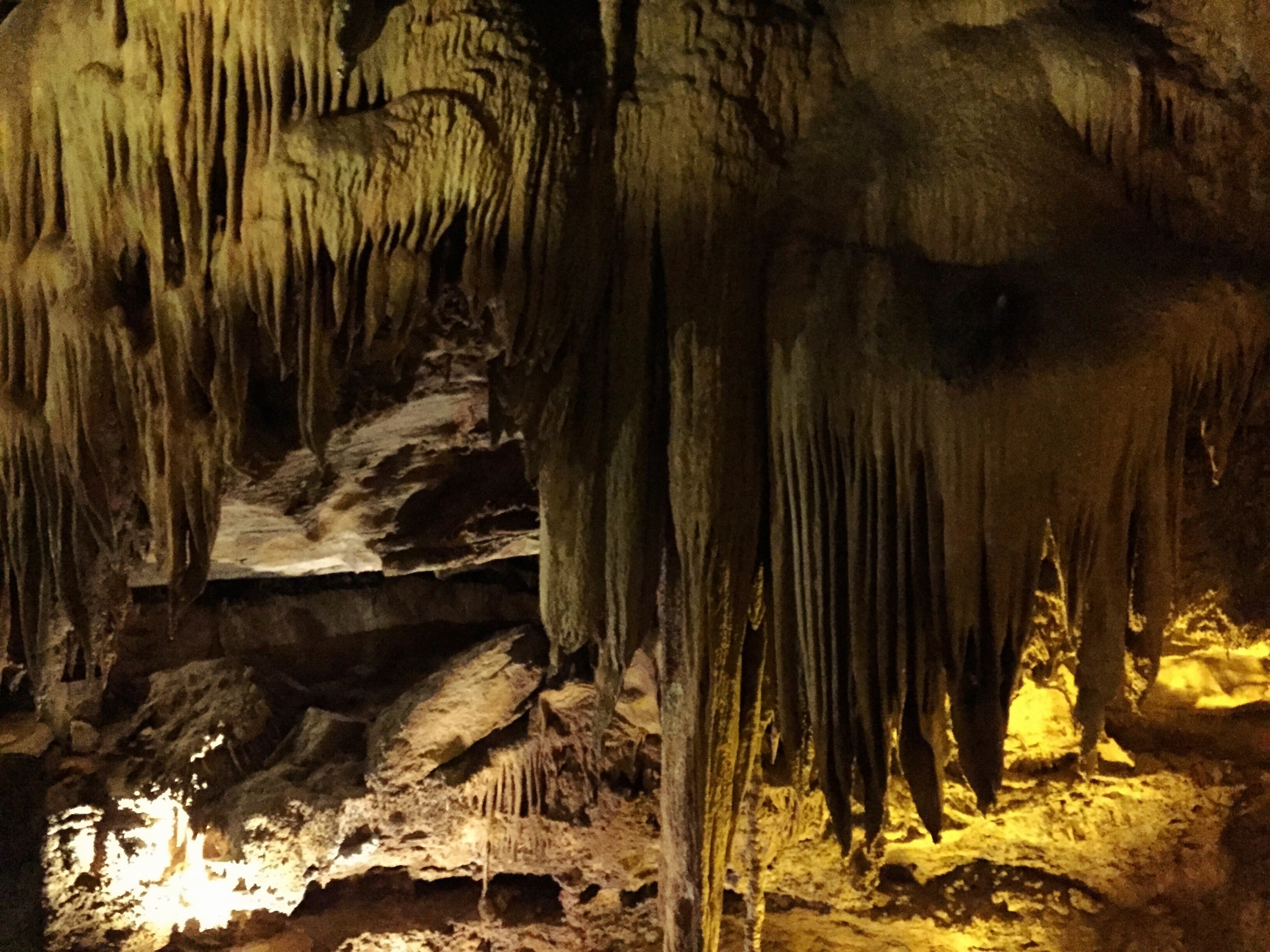 Raccoon Caverns has some amazing rock formations. They offer tours ranging from 45 minutes to 6 hours or more. You can even stay in the caverns overnight!