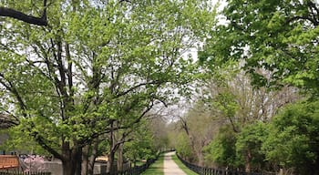 Beaumont Center trail. A lovely trail behind the Beaumont farm apartments. Lovely day for a walk down the trail.