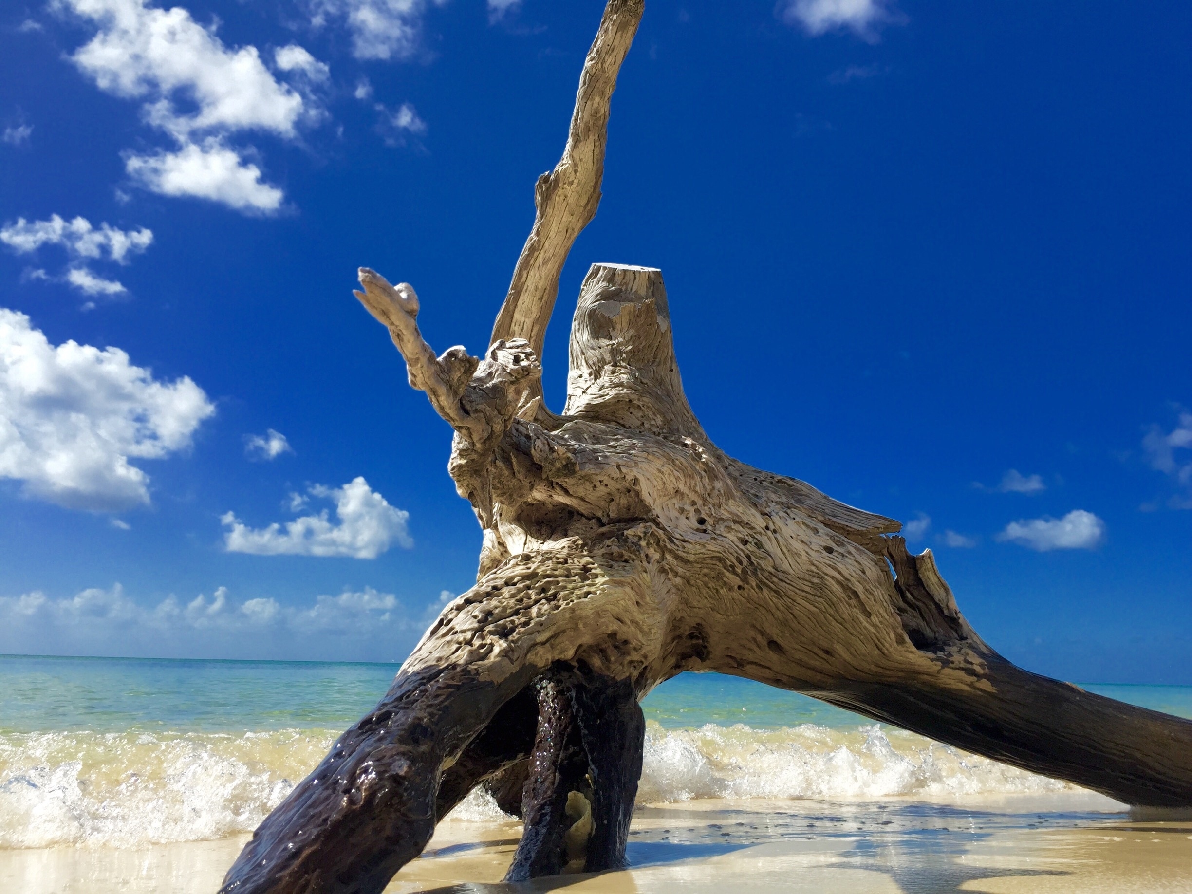 Visita Playa Palancar en Cozumel 