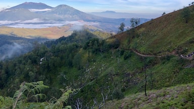Can you see the trail to Ijen Crater. It’s quite a steep hike to get up to the crater. Took us 1.5 hours to get to the top in the dark at around 2am