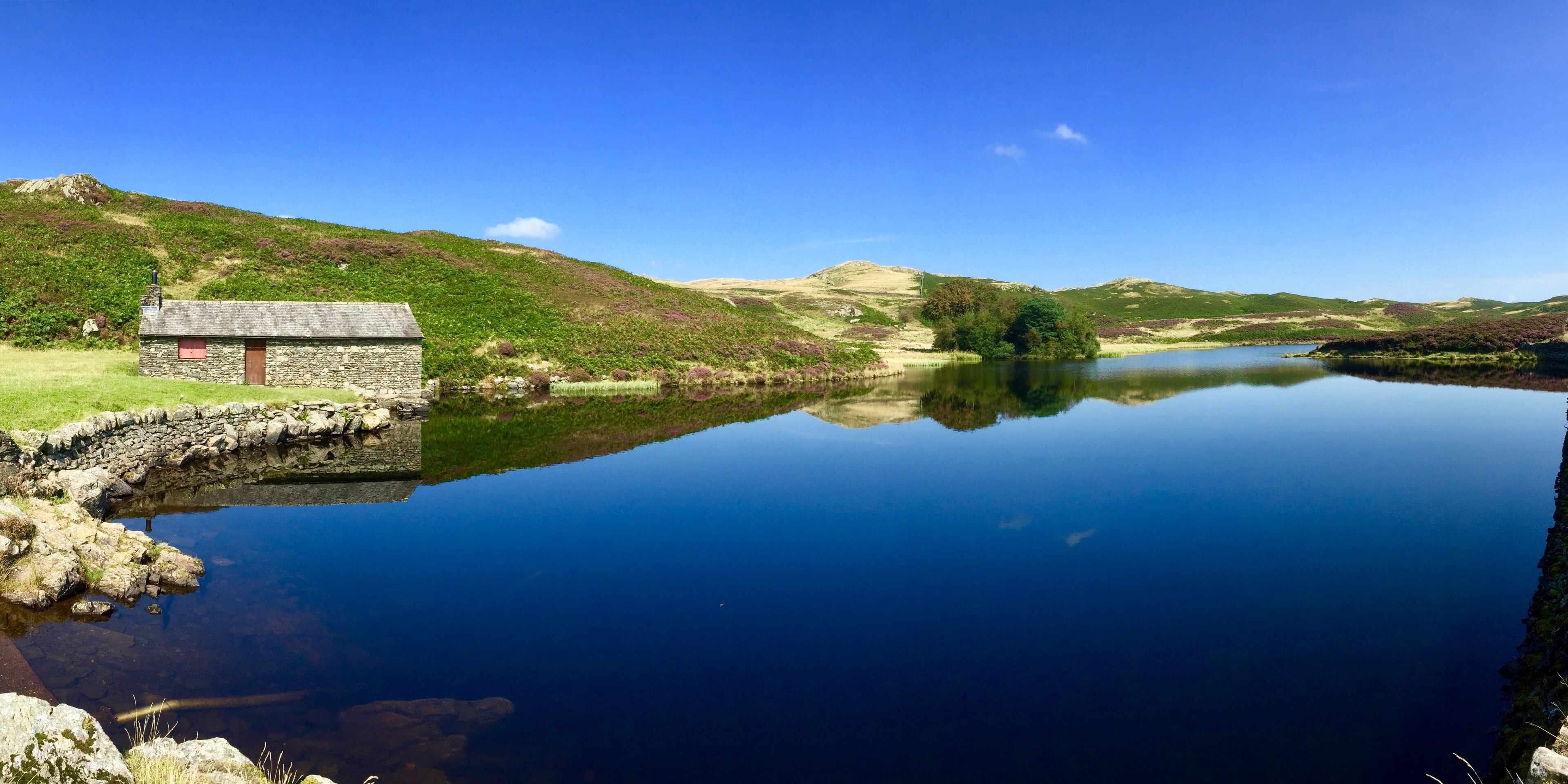 Foto av Kathy Appleby