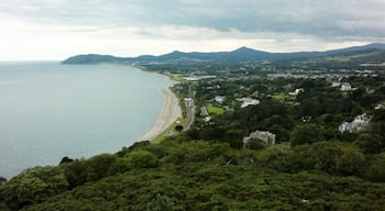 Killarney hill