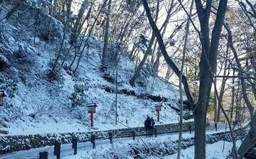 高尾山21 最新旅遊攻略 高尾山有咩玩 有咩買 Expedia 高尾山21 最新旅遊攻略 高尾山有咩玩 有咩買 Expedia