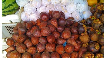 I can never get enough eating Snake Fruit when I travel to Indonesia. 
Snake fruit, more technically known as salak or salacca zalacca, is native to Indonesia but is now grown and produced around southeast Asia. The fruit grows on the salak palm tree, sprouting off the base of the palm in little clusters. The outside of the fruit is scaly like a snake and prickly like a cactus, but the inside is sweeter than honey, sour like a pineapple and incredibly juicy. Its flesh is slightly acidic, giving your tongue a citrus like tingle. Yummm...