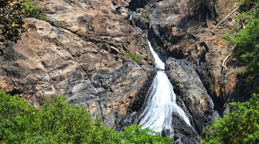 Dudhsagar Waterfalls, Sanguem, Goa, India