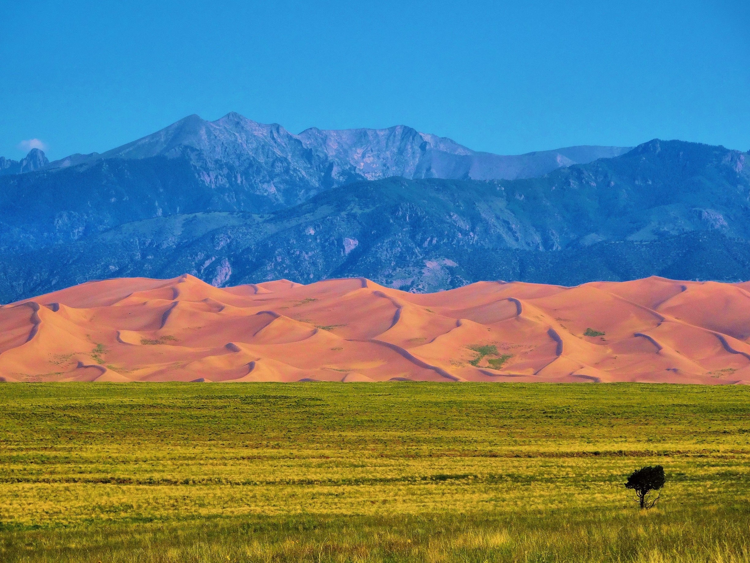 Crestone, CO Vacation Rentals house rentals & more Vrbo