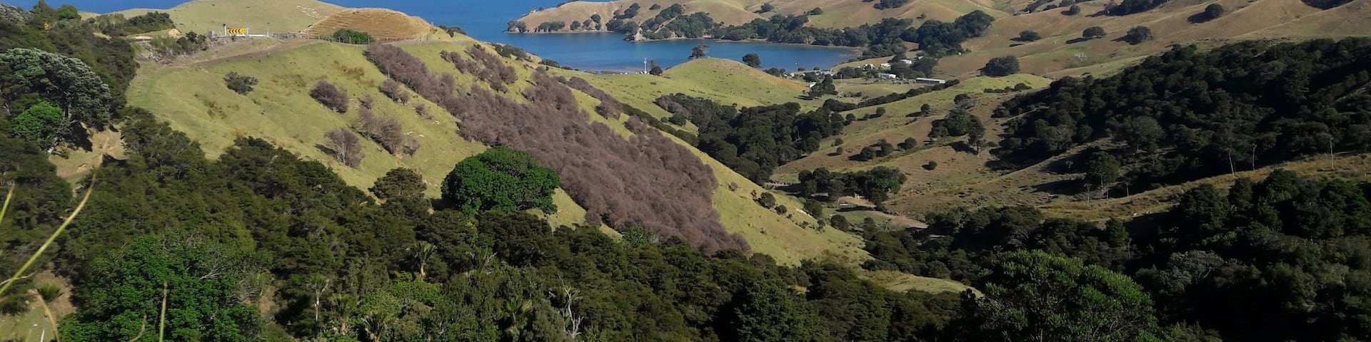 Costa de Coromandel, Waikato, Nueva Zelanda