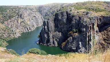 A beautiful city on the Douro river making border with Spain.
You can go on a boat trip along the river ....breathtaking views!!!!
Portugal