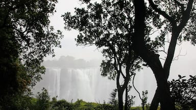 Victoria Falls through the mists in the low season. Seeing the famed Victoria falls from the Zimbabwe side was something that had been on my bucketlist since way before I even knew what a bucketlist was. I never really thought I would make it to Africa but often dreamed of it. I just put up my blog post about my experience there. My posts are not professional and have been told I write like I talk for better or worse but I enjoy doing it and really in the end that's what matters.
http://circlingthebucketlist.com/index.php/2018/11/23/a-day-at-victoria-falls/