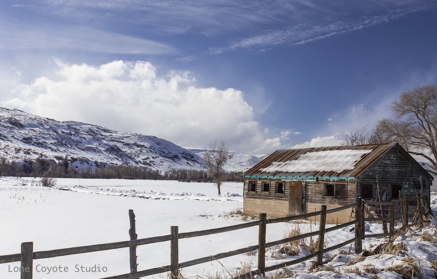Took advantage of a clear brisk winter day in Utah to take some photos. Saw this amazing view while driving on a back road in a rural area near Peoa, Utah.
#highplains #rural_landscapes #winterpastures #horsepasture #stateroad32#kamas#peoa #kamasvalley #oakley #promontory #utahwinters #sageplains #ruralfarmhouses #snowandfields #roadsidephotography #ruraladventures #ruralphotographer #utahlivingatitsfinest #colorandsnow #simplelandscape #lookingforcolor #losingagainsttime #yearsgoneby #lonecoyotestudio #nealdodson