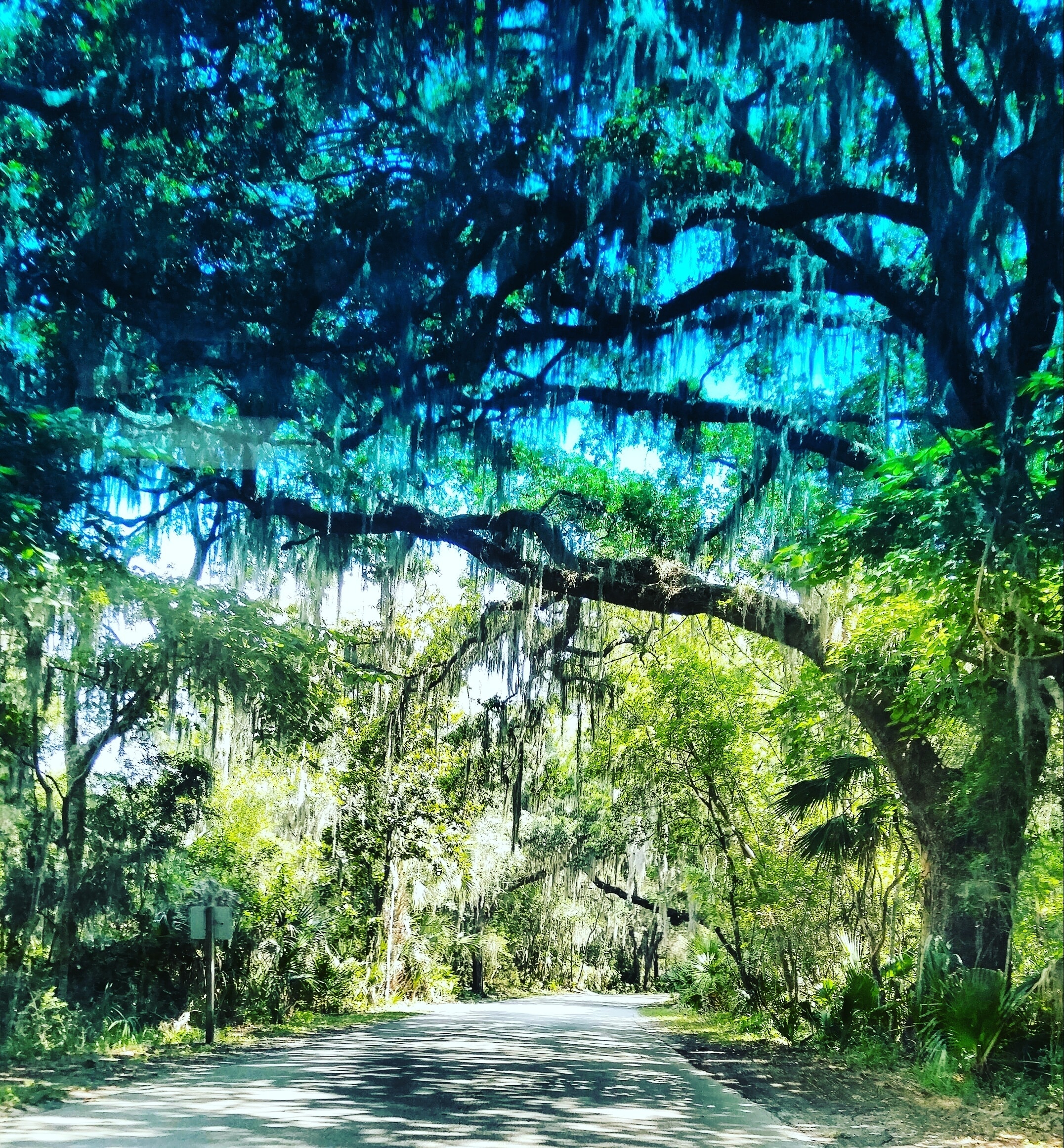 Best Hikes and Trails in Fort Clinch State Park