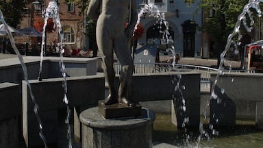 Poseidon Statue in the main square of Bielsko-Biala, a small city around 50 km south of Katowice.

The main square is very pleasant on a warm day, with its numerous bars and restaurants.