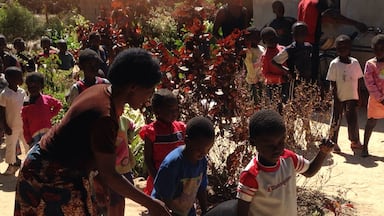 We have been working with Hands at Work in the Village of Chibote just north of Kitwe in Zambia. The children are the poorest of the poor and Hands at Work provides food security, health care and classroom time. This community was amazing and the children loving , well behaved, and a blessing to care for.