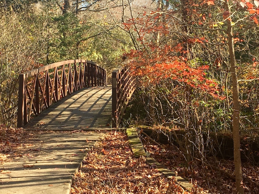 Last gasp of Fall color along the Red Trail. Unusual 65 degree day in November for NJ so this is the perfect place for family walks, train rides & dog walks.