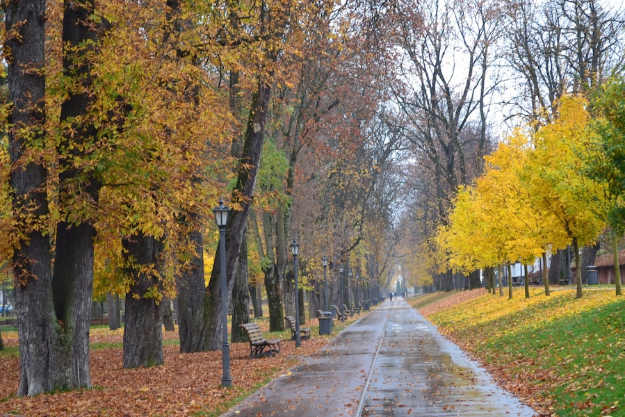 A beautiful walk path in town center.