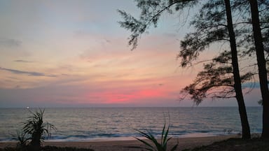 When you walk Long the beach at Mai Khao you can't help but make a few stops at places set up along the route. This walk included a Thai massage followed by an excellent dinner outside, sitting in this spot as the sun faded away. The name of the makeshift restaurant was the Wansuk Restaurant.
