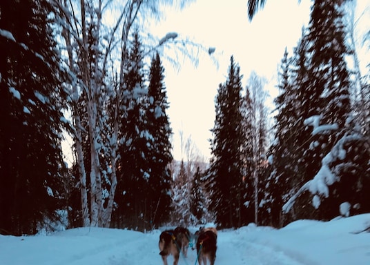 Fairbanks, Alaska, USA