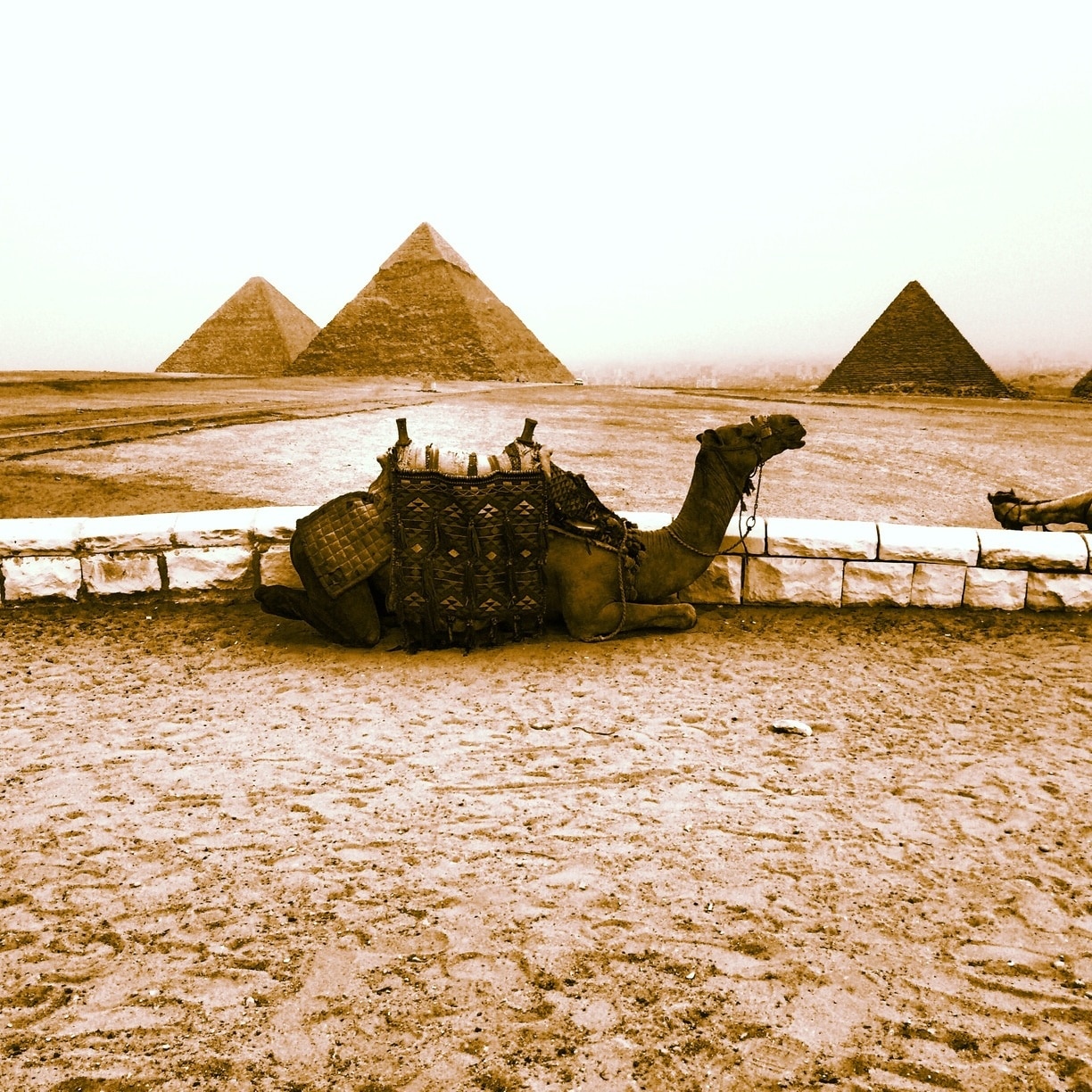 Where to Stay in Giza Best neighborhoods Expedia